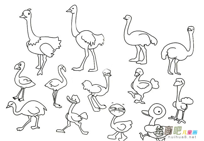鸵鸟简笔画大全