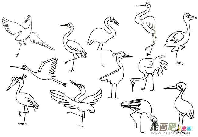 丹顶鹤简笔画大全