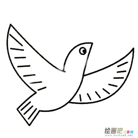 鸽子简笔画