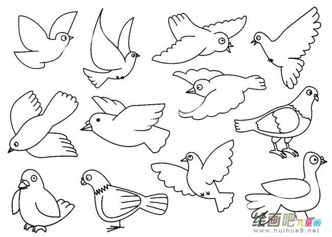 鸽子简笔画大全