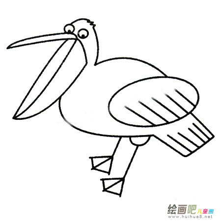 鹈鹕简笔画