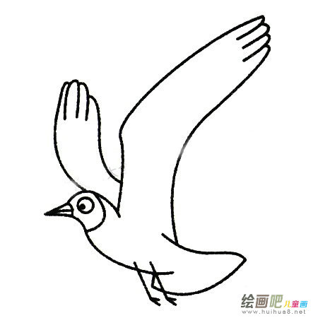 海鸥简笔画