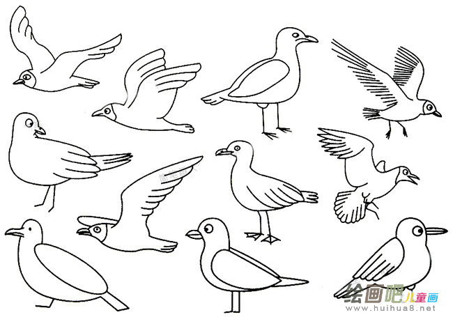 海鸥简笔画大全
