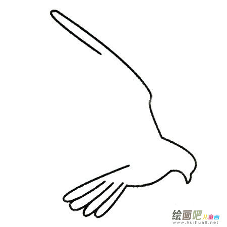 鹰简笔画