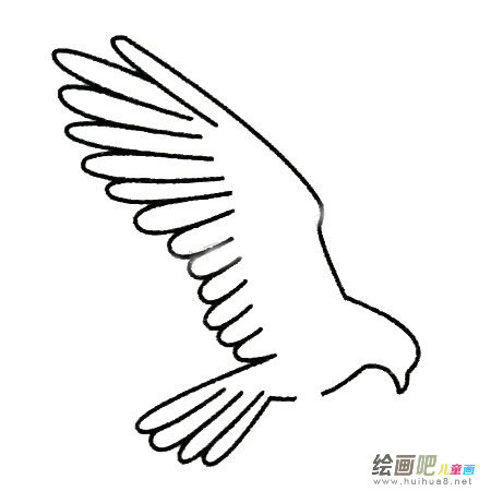 鹰简笔画