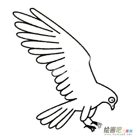 鹰简笔画