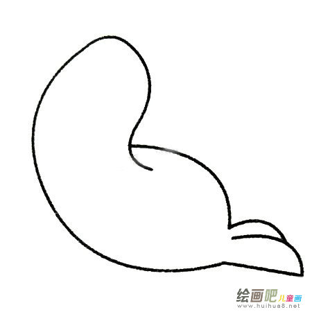 海豹简笔画