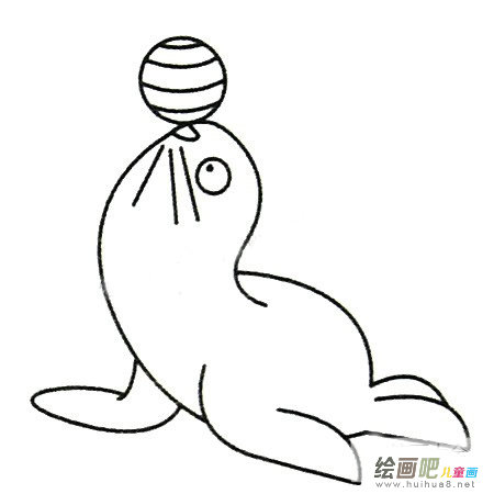海豹简笔画