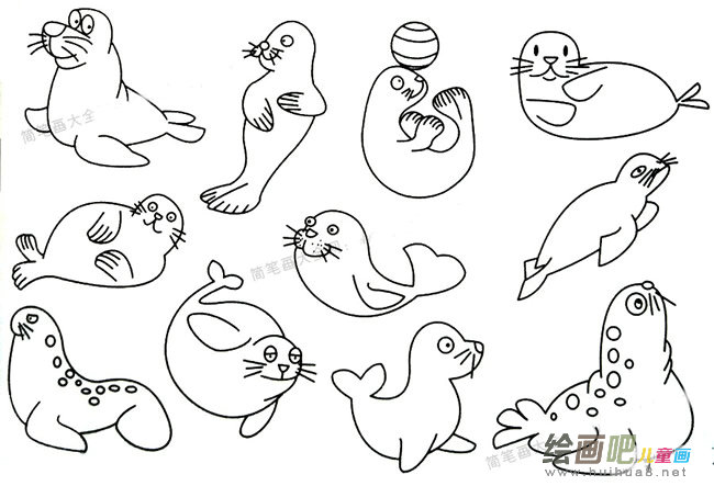 海豹简笔画大全