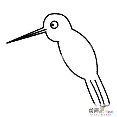 蜂鸟简笔画