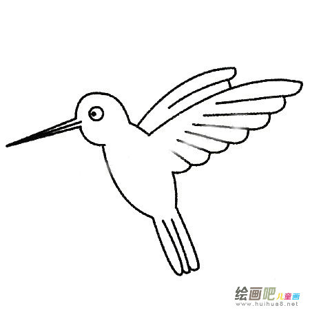 蜂鸟简笔画