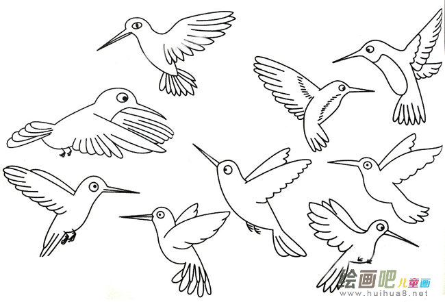 蜂鸟简笔画大全