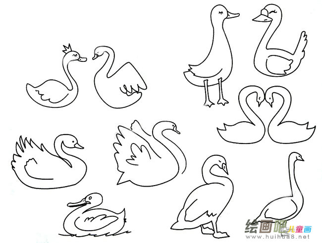 天鹅简笔画大全
