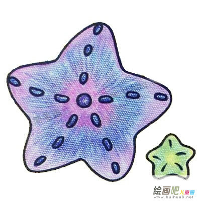 海星简笔画彩色图片