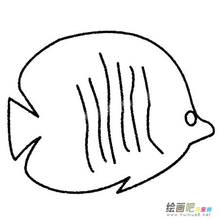 热带鱼简笔画大全及画法步骤