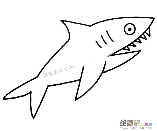 鲨鱼简笔画的画法步骤教程