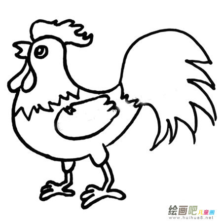 大公鸡简笔画