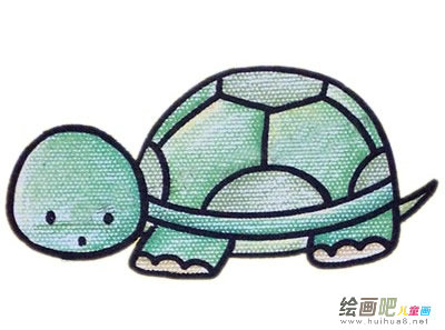 乌龟简笔画彩色图片大全