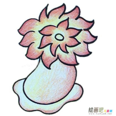 海葵简笔画彩色图片