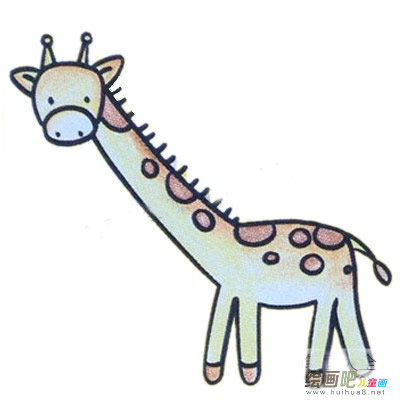长颈鹿简笔画彩色图片
