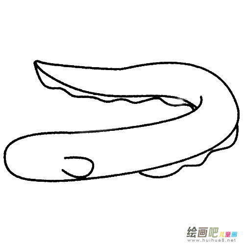 电鳗简笔画图片