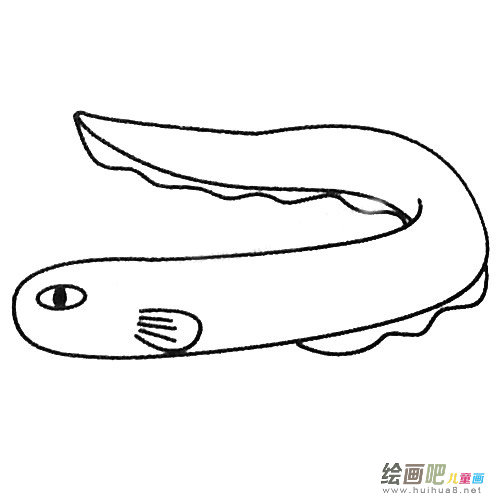 电鳗简笔画图片