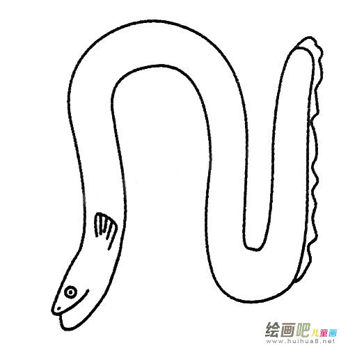 电鳗简笔画图片大全