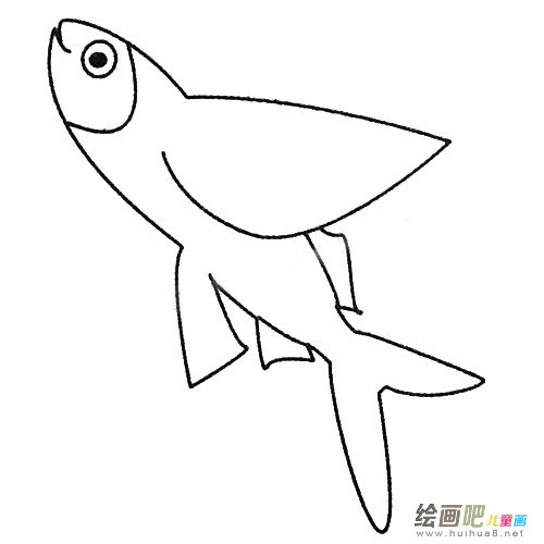 飞鱼简笔画图片大全