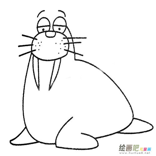 海象简笔画图片大全
