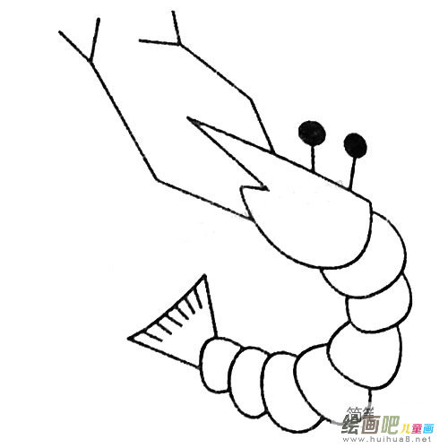 虾的简笔画图片大全及画法步骤