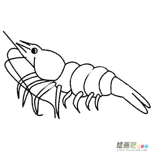虾的简笔画图片大全及画法步骤