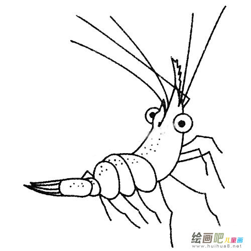 虾的简笔画图片大全及画法步骤