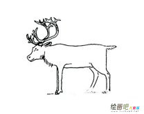 /jianbihua/dongwujianbi/25945.html