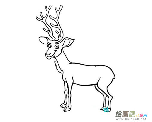 马鹿怎么画,简笔画马鹿的画法