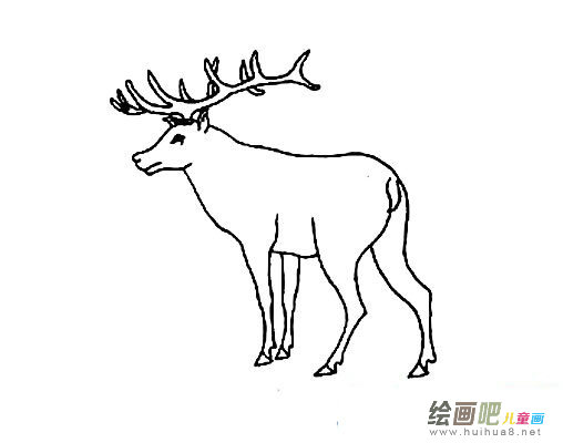 马鹿简笔画图片