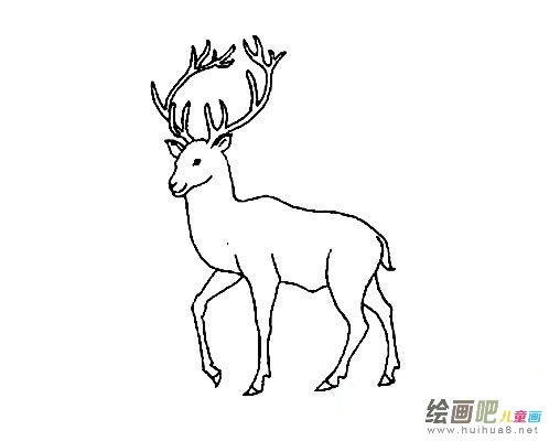 马鹿简笔画图片