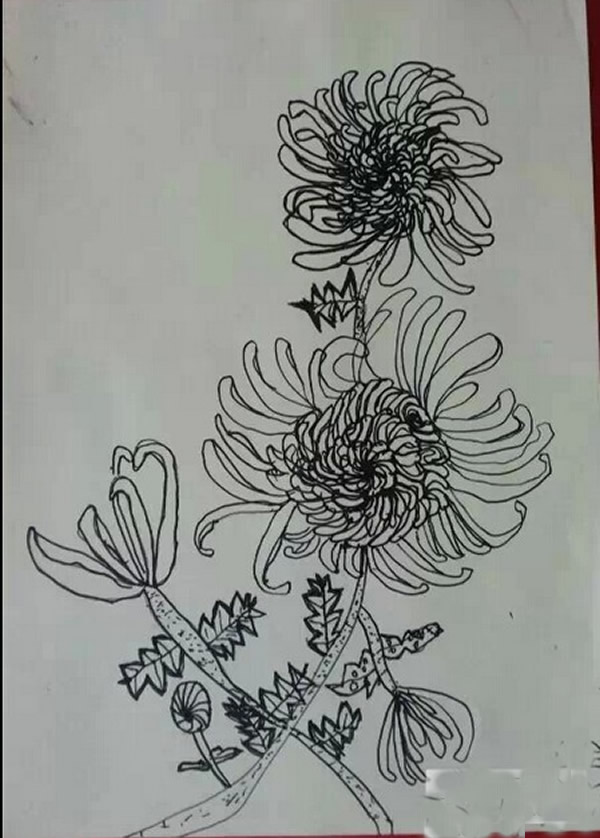 儿童画重阳节的图画_秋天的菊花儿童画