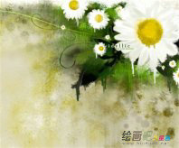 /secaihua/shuifenhuahua/20190109/40972.html