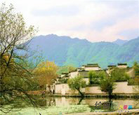 /secaihua/shuifenhuahua/20190109/40838.html