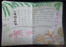 清明节手抄报：经典杜甫诗句图片装饰