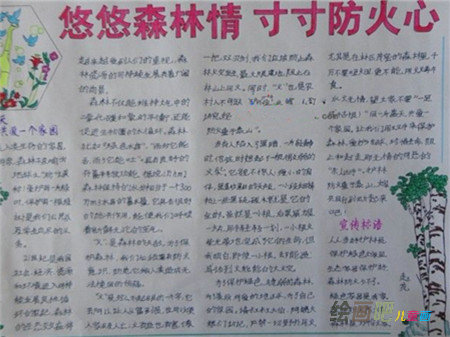 消防安全手抄报：森林中的可燃物