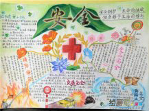 安全教育手抄报：如何预防台风的破坏