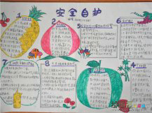 安全教育手抄报：遇到蜂窝别乱捅