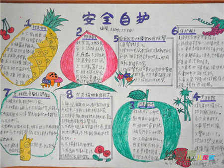 安全教育手抄报：遇到蜂窝别乱捅