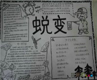 军训手抄报：军训600字