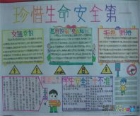 安全教育手抄报：《安全教育》观后感