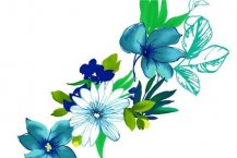 /heibanbao/qita/20190108/7986.html