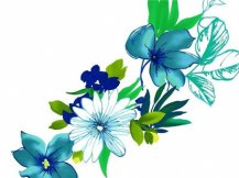 /heibanbao/qita/20190108/7948.html