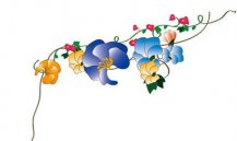 /heibanbao/qita/20190108/7951.html