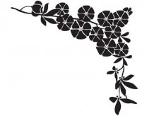 /heibanbao/qita/20190108/7939.html